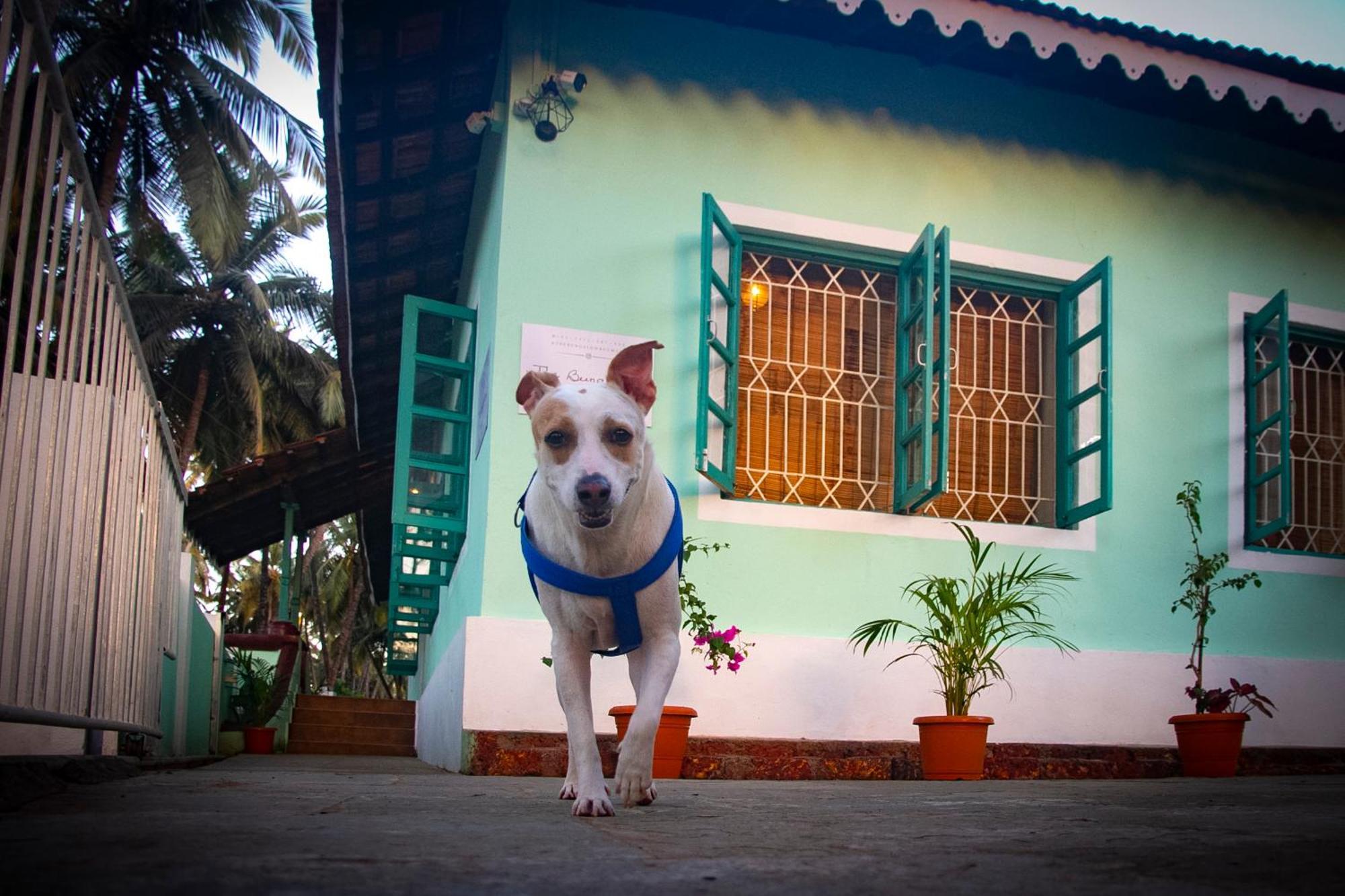 The Bungalow Bogmalo An 1880 Indo Portuguese Heritage Beach Villa South Goa Kültér fotó